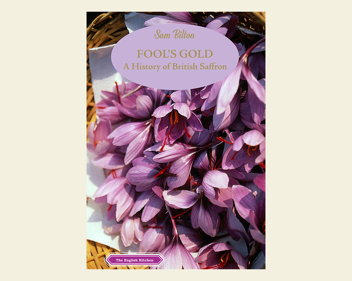 'Fools Gold' book cover